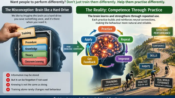 hard drive in brain